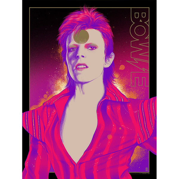 David Bowie Stardust Gallery Edition